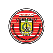 logo-team