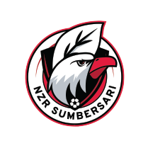 logo-team