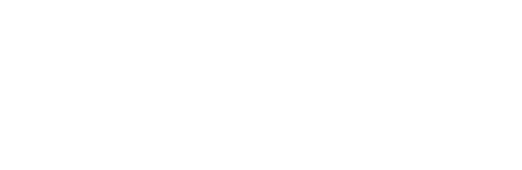 website_adidas